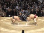 1189610377344.gif