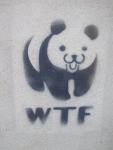 WTF_panda_by_utilizator.jpg